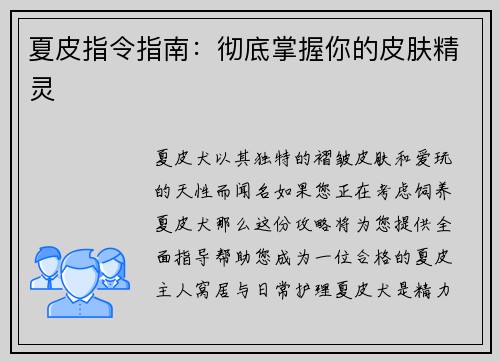 夏皮指令指南：彻底掌握你的皮肤精灵